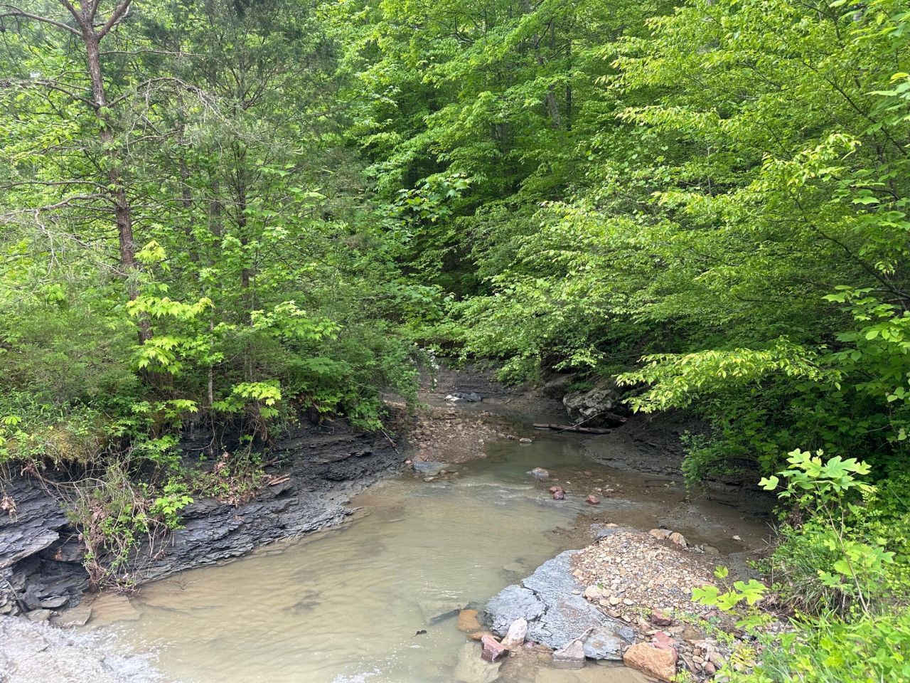 275 Horns River Road Road, Irvine, KY 40336