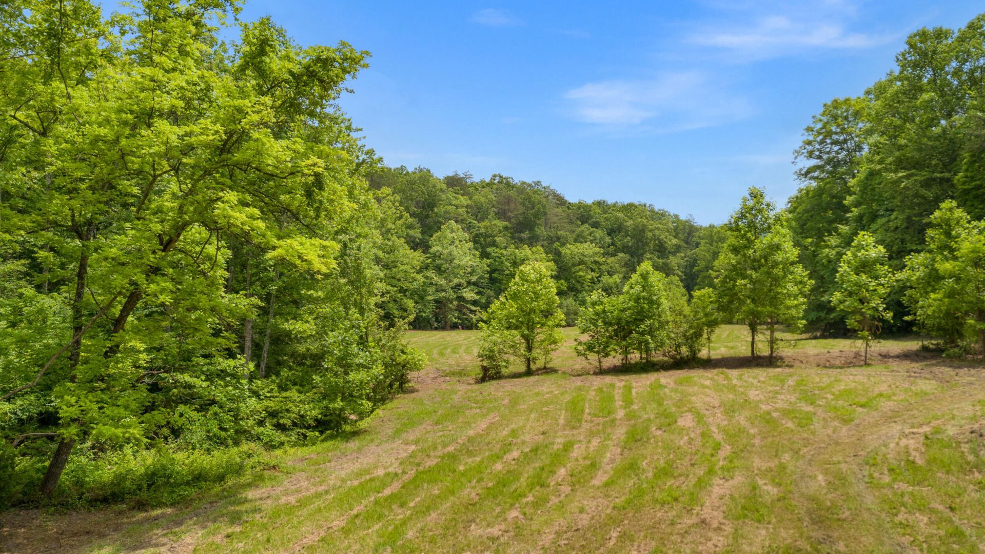 275 Horns River Road Road, Irvine, KY 40336