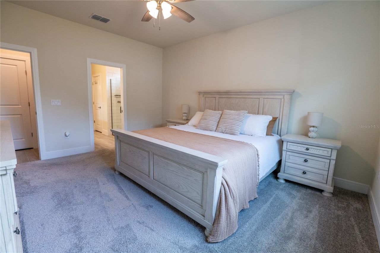 4007 Meandering Bay Drive, Apopka, FL 32712 Photo