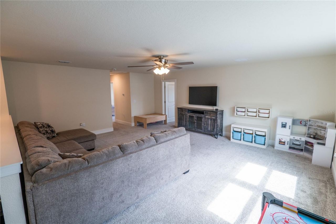 4007 Meandering Bay Drive, Apopka, FL 32712 Photo