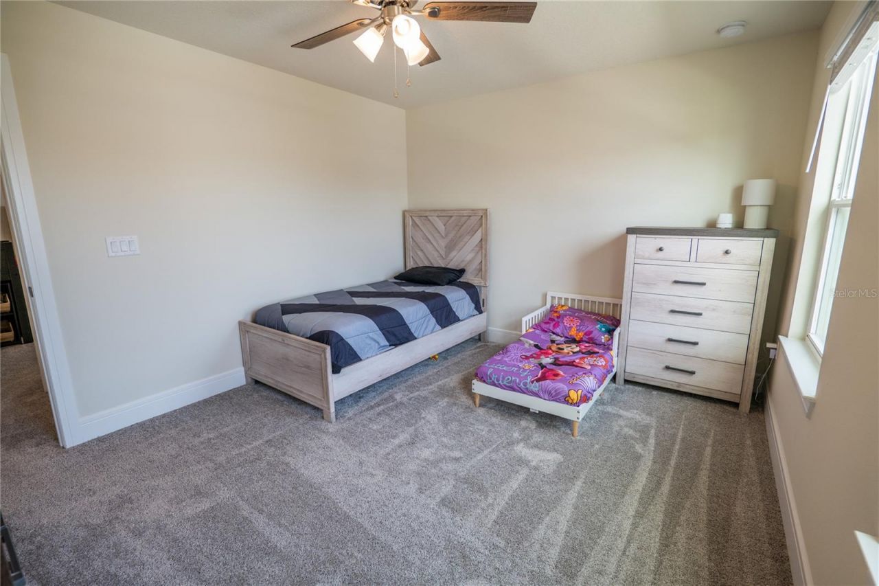 4007 Meandering Bay Drive, Apopka, FL 32712 Photo