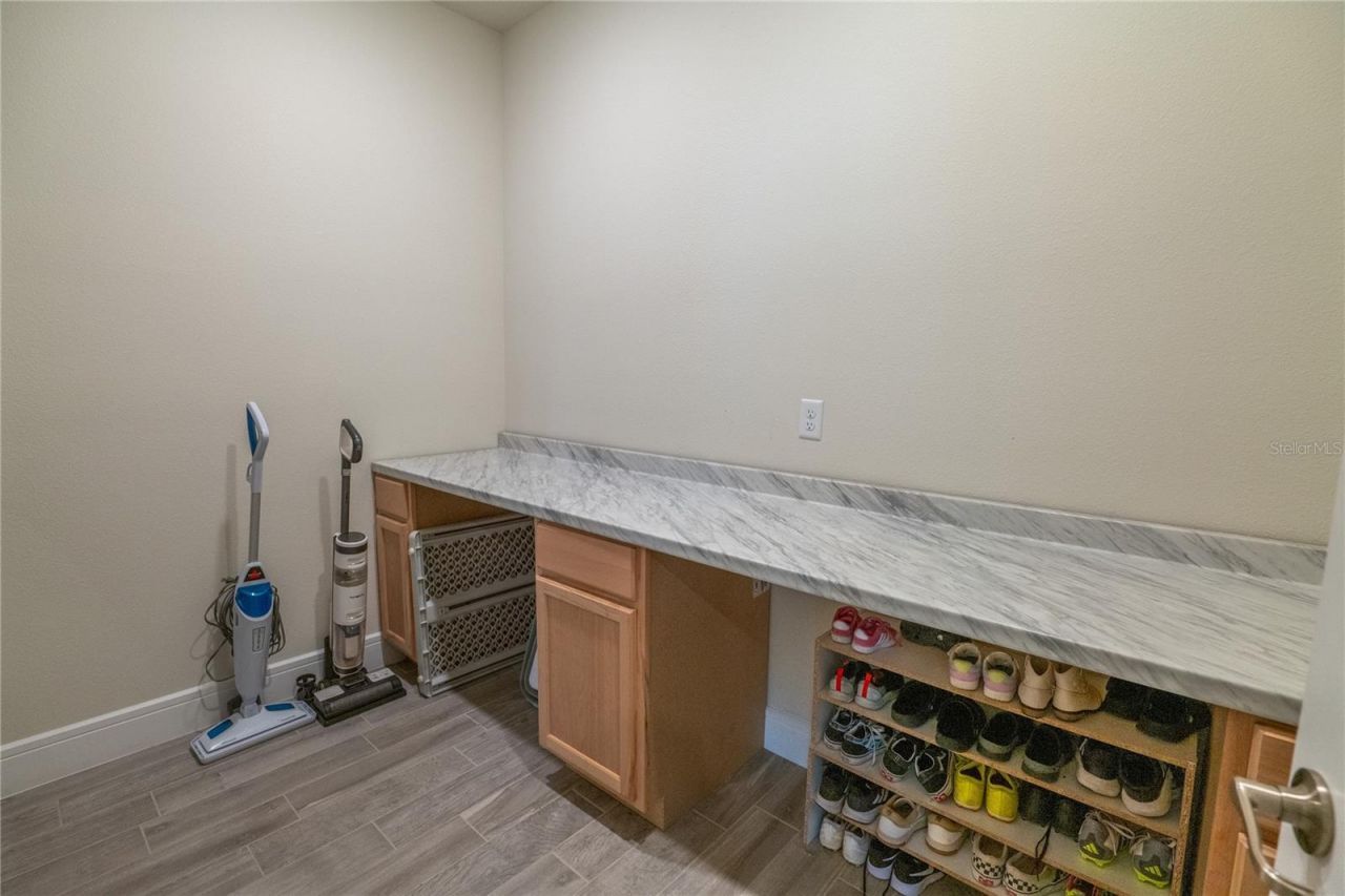 4007 Meandering Bay Drive, Apopka, FL 32712 Photo