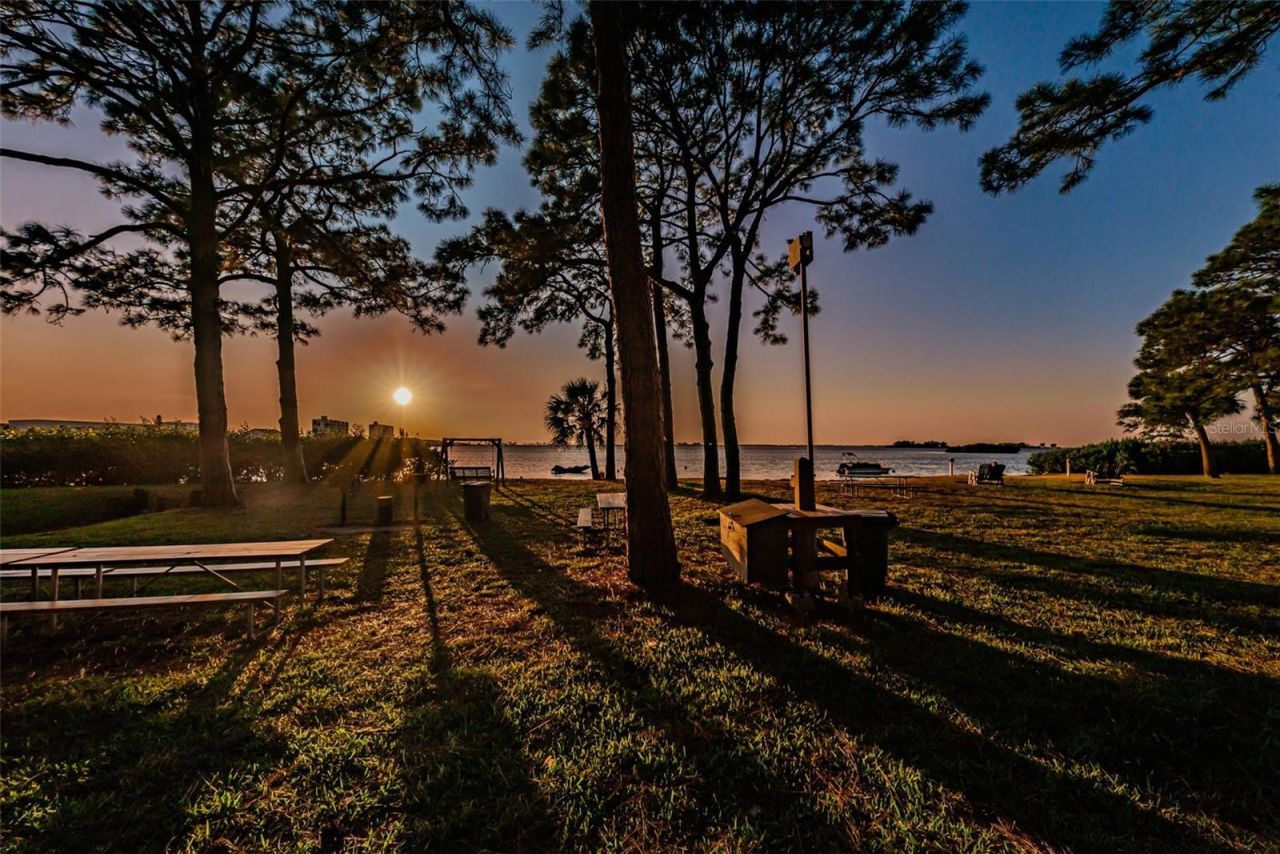 2700 Bayshore Boulevard, Unit 5210, Dunedin, FL 34698 Photo