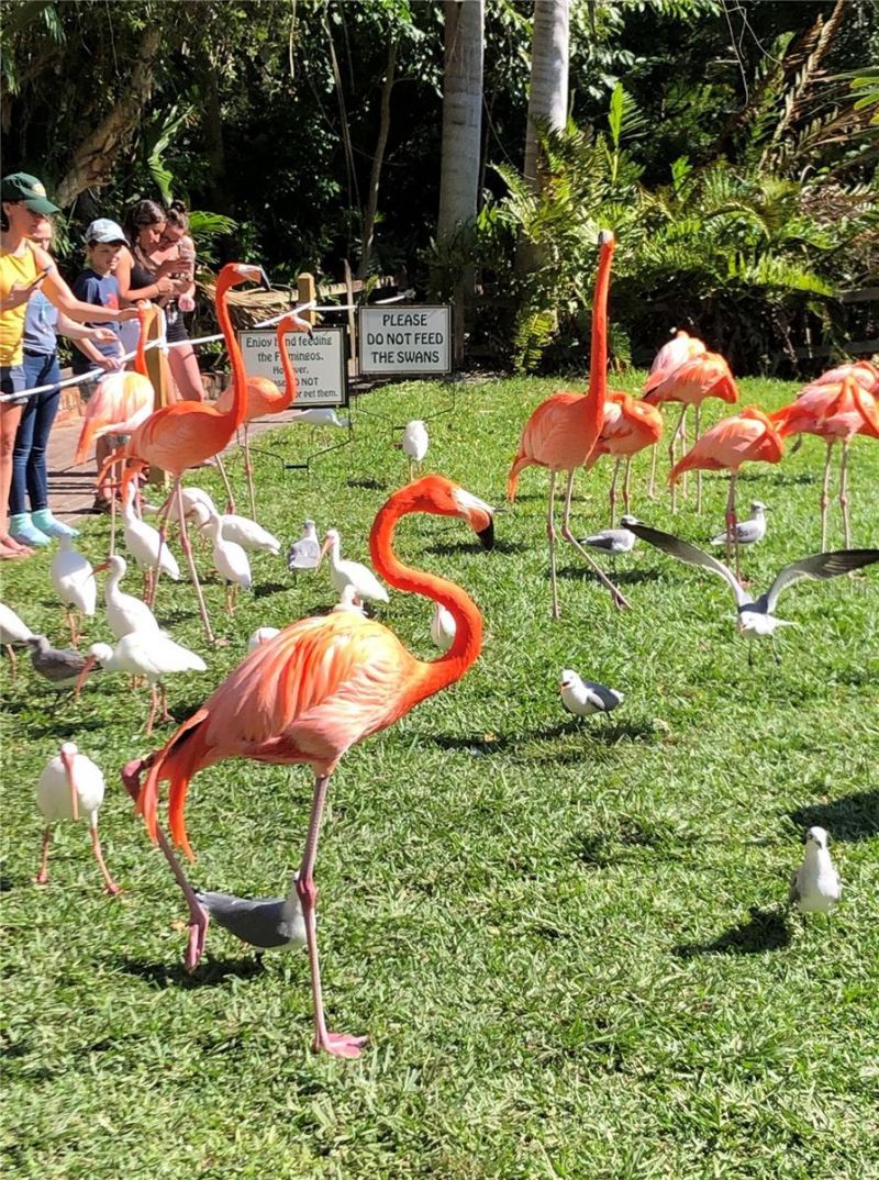 3605 Iroquois Avenue, Sarasota, FL 34234 Photo