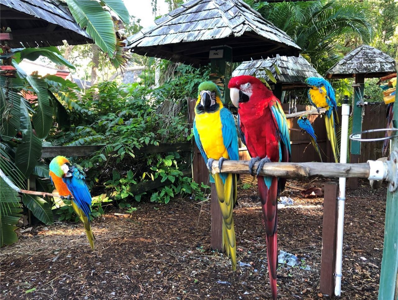 3605 Iroquois Avenue, Sarasota, FL 34234 Photo