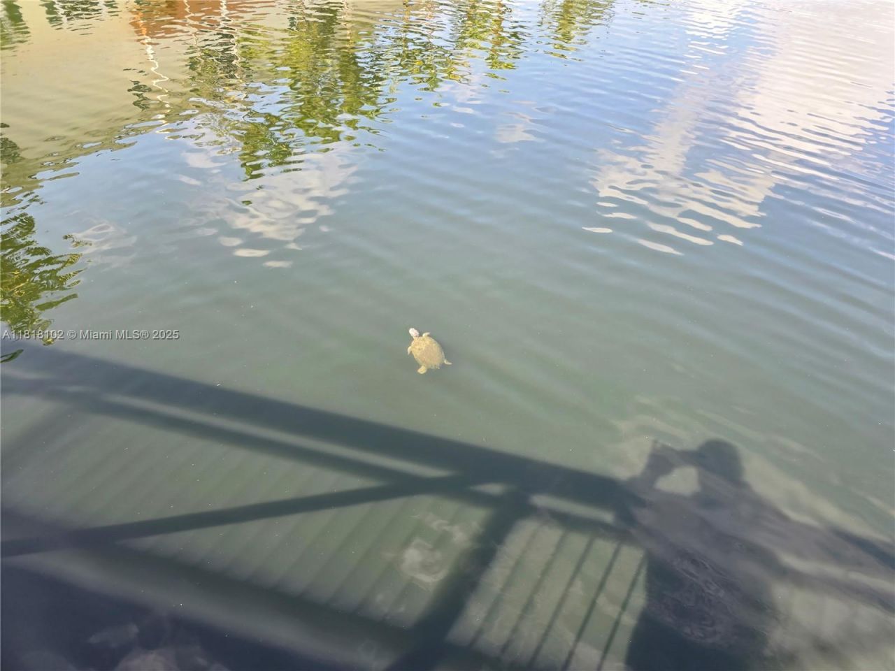 146 SW 7th Ct, Pompano Beach, FL 33060 Photo