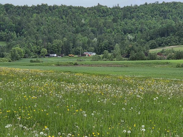 0 Old Concord Road, Concord, VT 05824