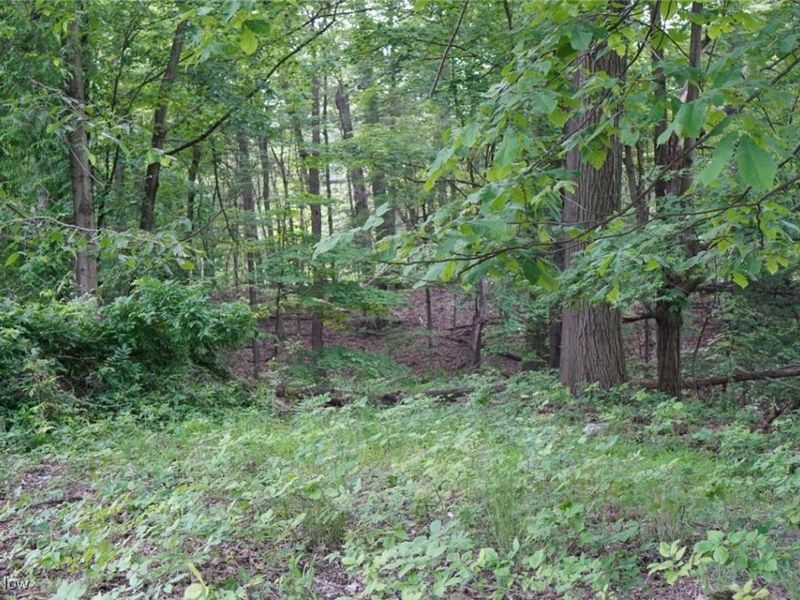 7228 Grove Avenue, Oakwood Village, OH 44146 Photo 3