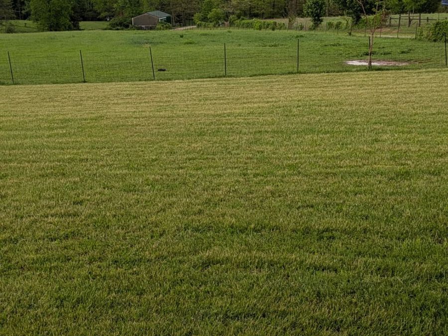 Property Image 60
