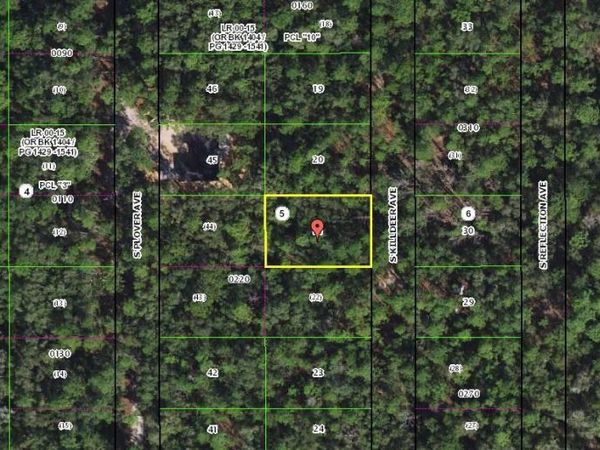 3862 S KILLDEER AVENUE, INVERNESS, FL 34450