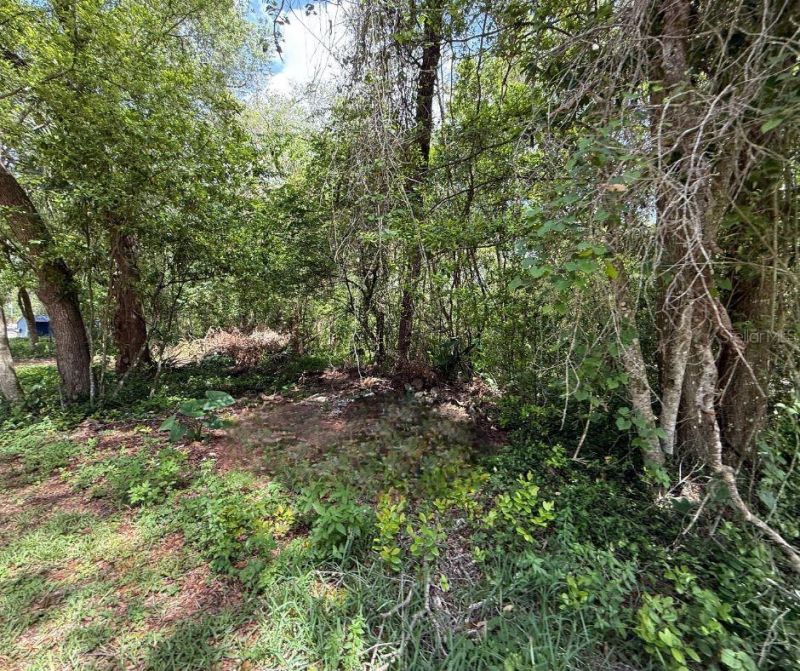 2301 E Graves Avenue, Orange City, FL 32763 Photo