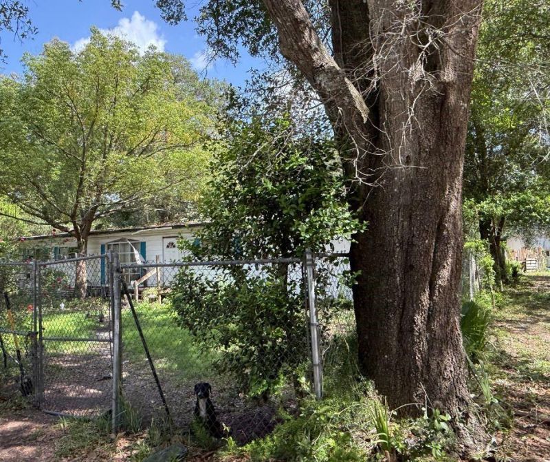 2301 E Graves Avenue, Orange City, FL 32763 Photo