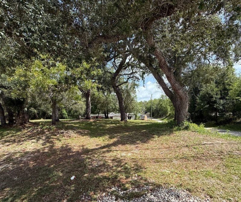 2301 E Graves Avenue, Orange City, FL 32763 Photo