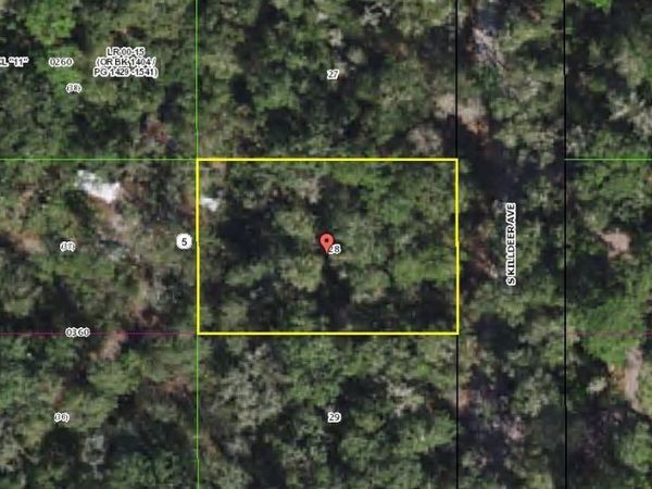3966 S KILLDEER AVENUE, INVERNESS, FL 34450