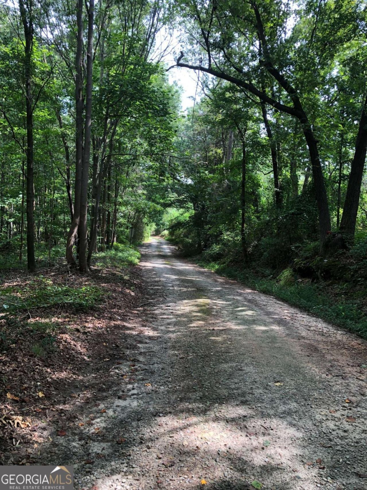 209 Alice Moss Lane, Alto, GA 30510 Main Photo