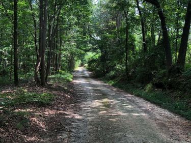 209 Alice Moss Lane, Alto, GA 30510