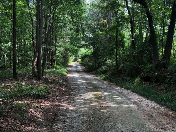 209 Alice Moss Lane, Alto, GA 30510