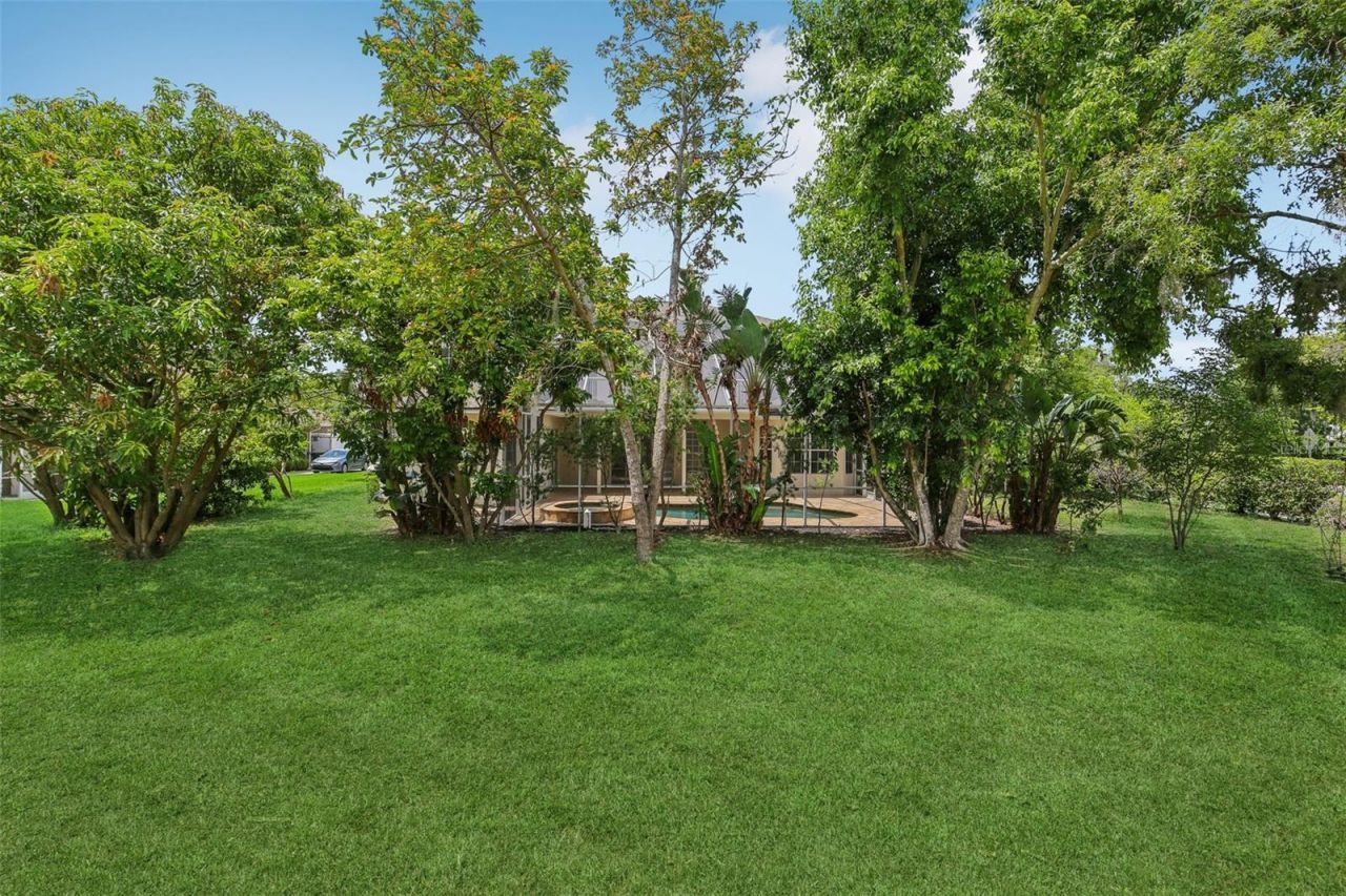 3062 Sutton Woods Drive, Plant City, FL 33566 Photo