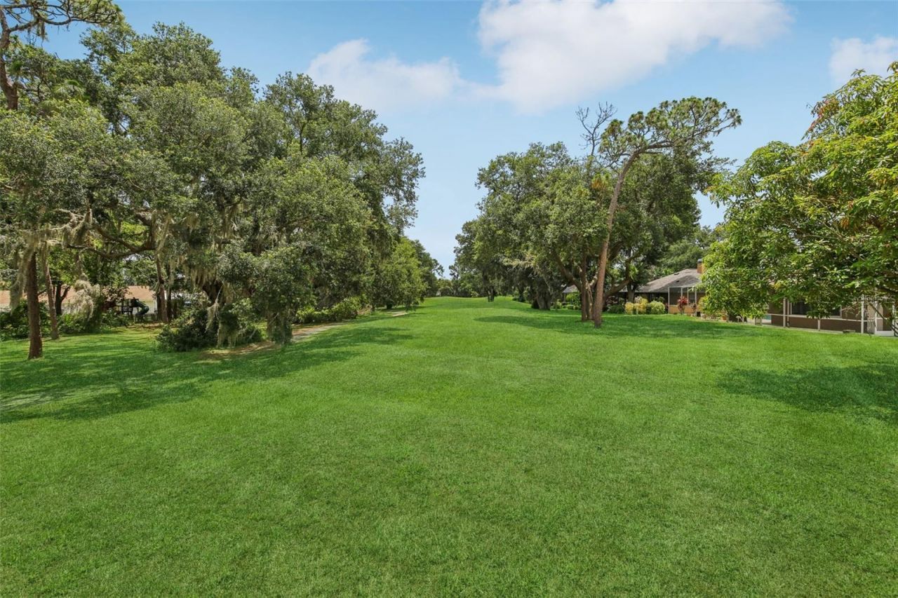 3062 Sutton Woods Drive, Plant City, FL 33566 Photo