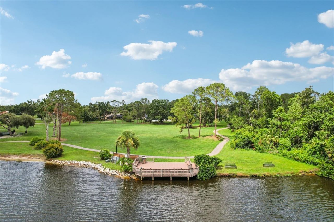 3062 Sutton Woods Drive, Plant City, FL 33566 Photo