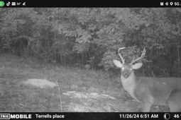 0 Glen Street photo 4