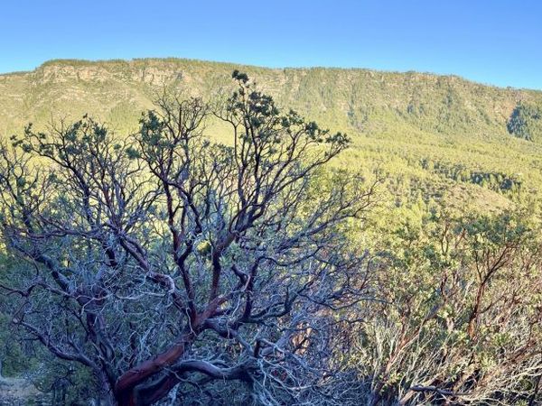 132 N Knob Hill, Unit 132, Pine, AZ 85544