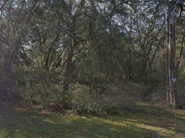 7129 RICKER AVENUE, WEBSTER, FL 33597