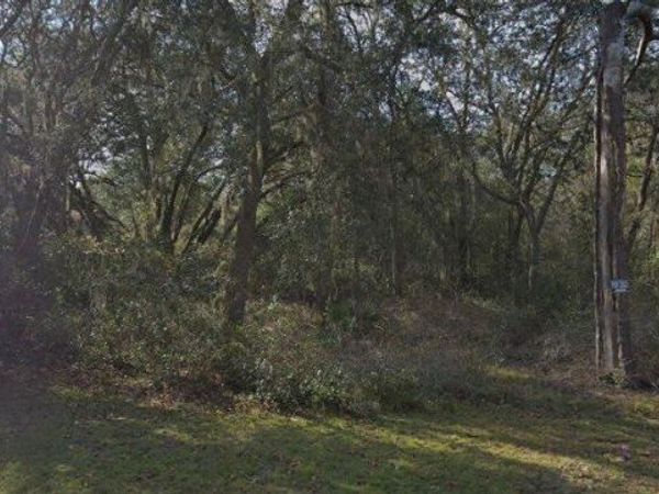 7129 RICKER AVENUE, WEBSTER, FL 33597