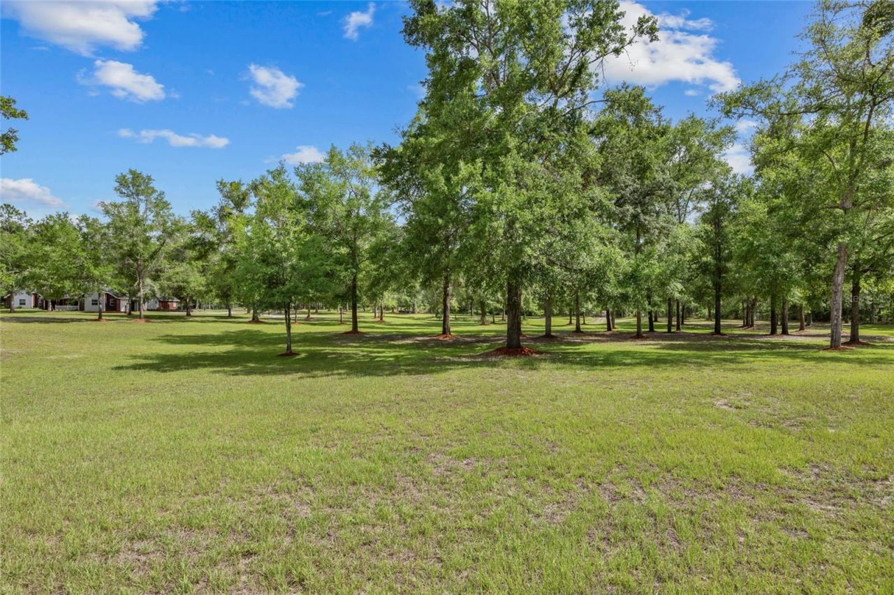 1827 SW Shiloh Street, Fort White, FL 32038 Photo