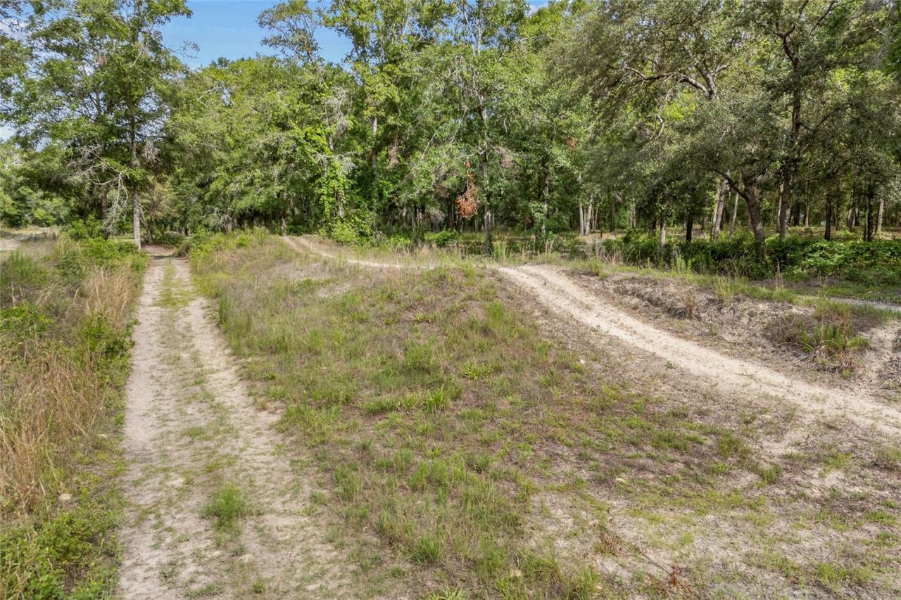 1827 SW Shiloh Street, Fort White, FL 32038 Photo