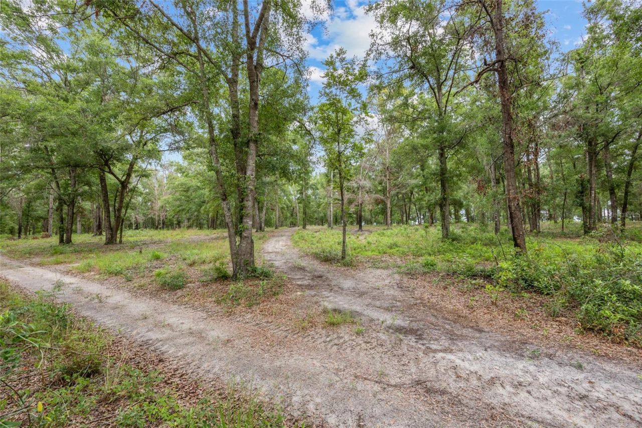 1827 SW Shiloh Street, Fort White, FL 32038 Photo