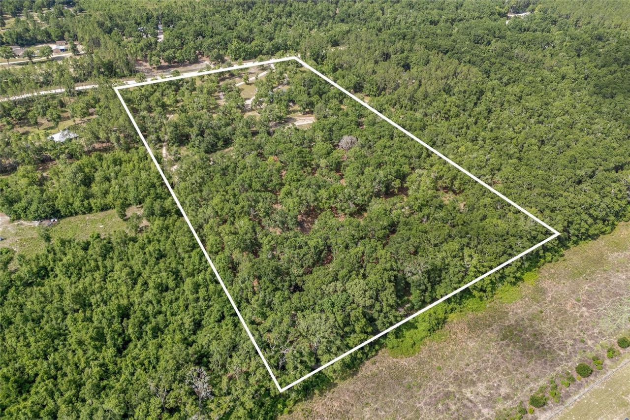 1827 SW Shiloh Street, Fort White, FL 32038 Photo