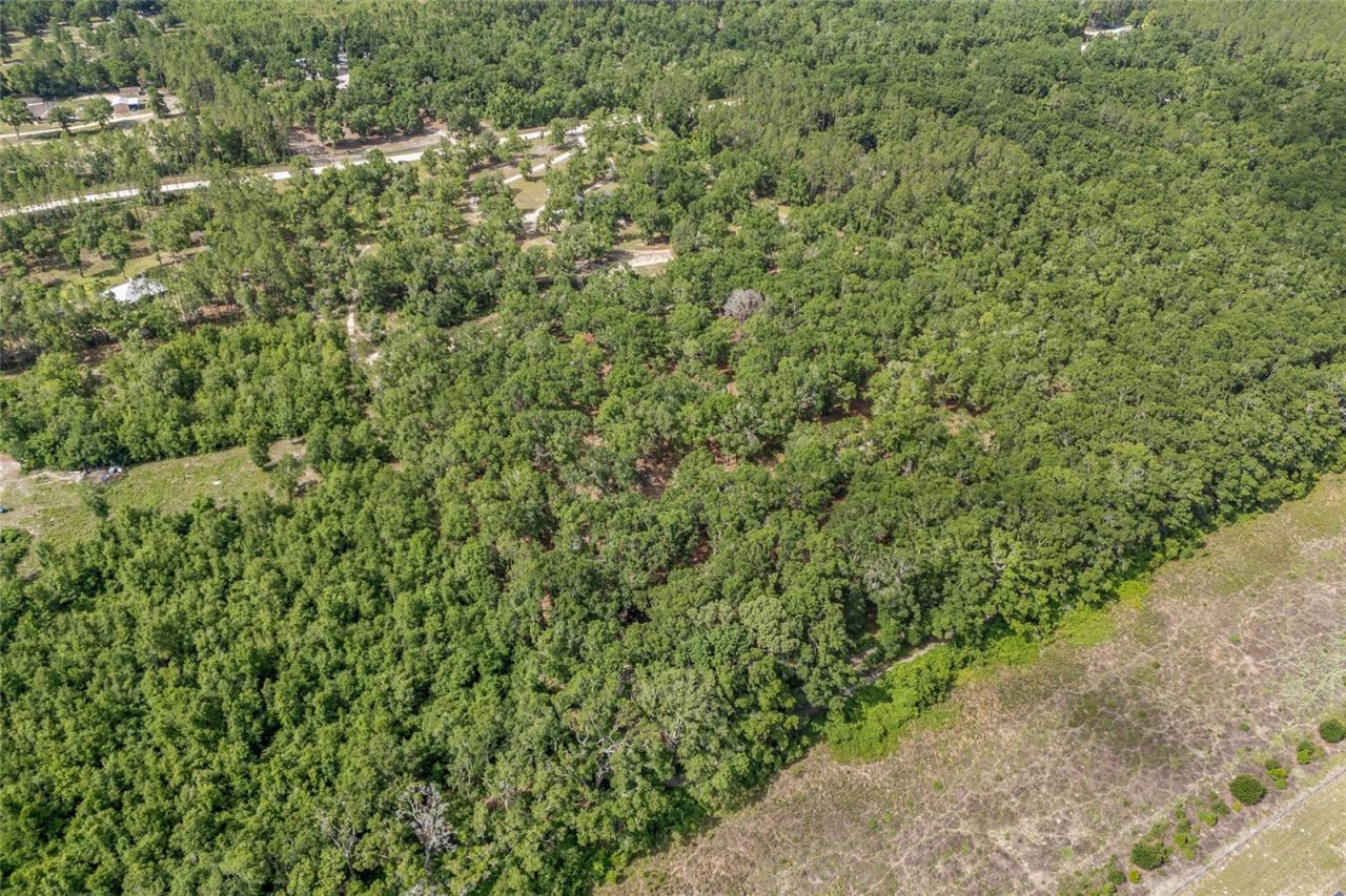 1827 SW Shiloh Street, Fort White, FL 32038 Photo