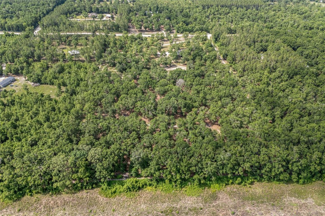 1827 SW Shiloh Street, Fort White, FL 32038 Photo