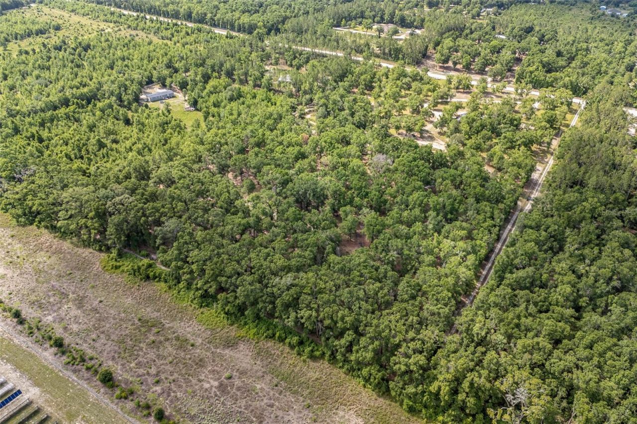 1827 SW Shiloh Street, Fort White, FL 32038 Photo