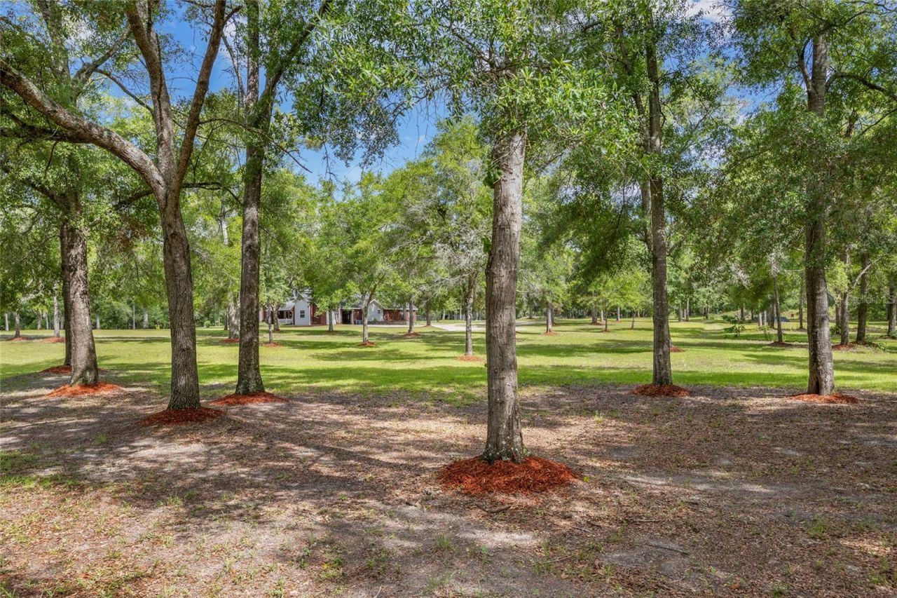 1827 SW Shiloh Street, Fort White, FL 32038 Photo