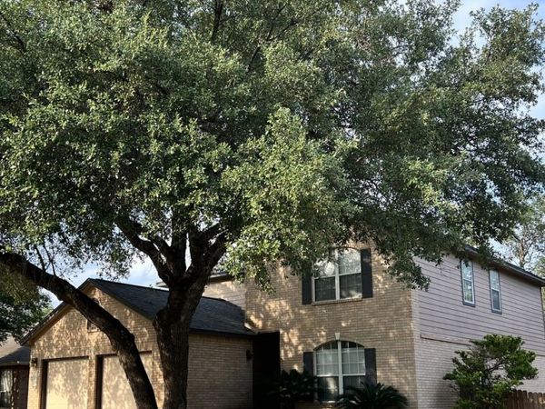 1110 Tetford, San Antonio, TX 78253