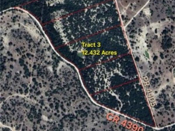Tract 3 County Road 4390, Kempner, TX 76539