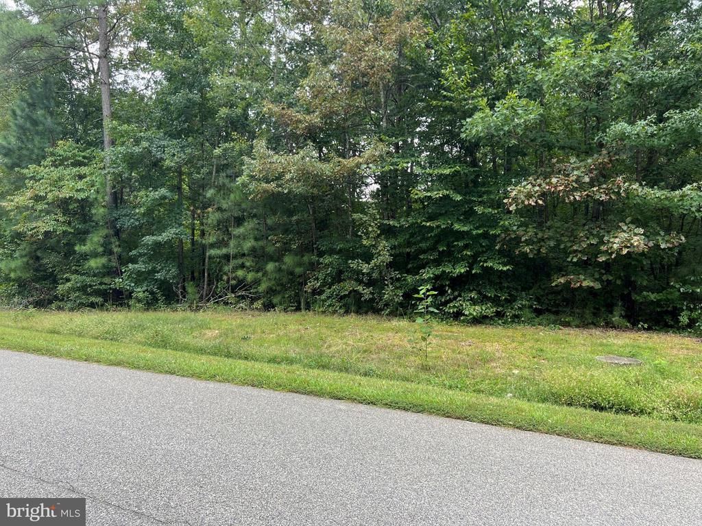Lot 84 Noah's Landing Drive, Bumpass, VA 23024 Main Photo