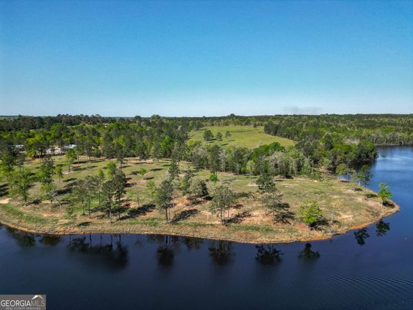 1009 Walter Wells Road, Buena Vista, GA 31803