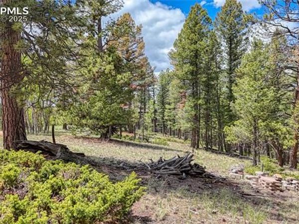 26 N Eldorado Circle, Florissant, CO 80816