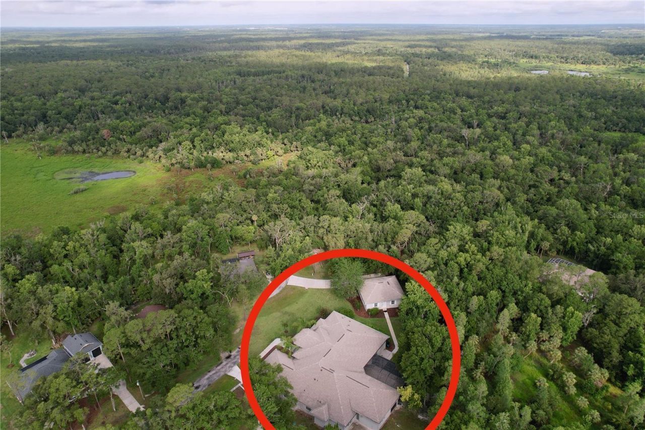 27511 Hialeah Way, Wesley Chapel, FL 33544 Photo