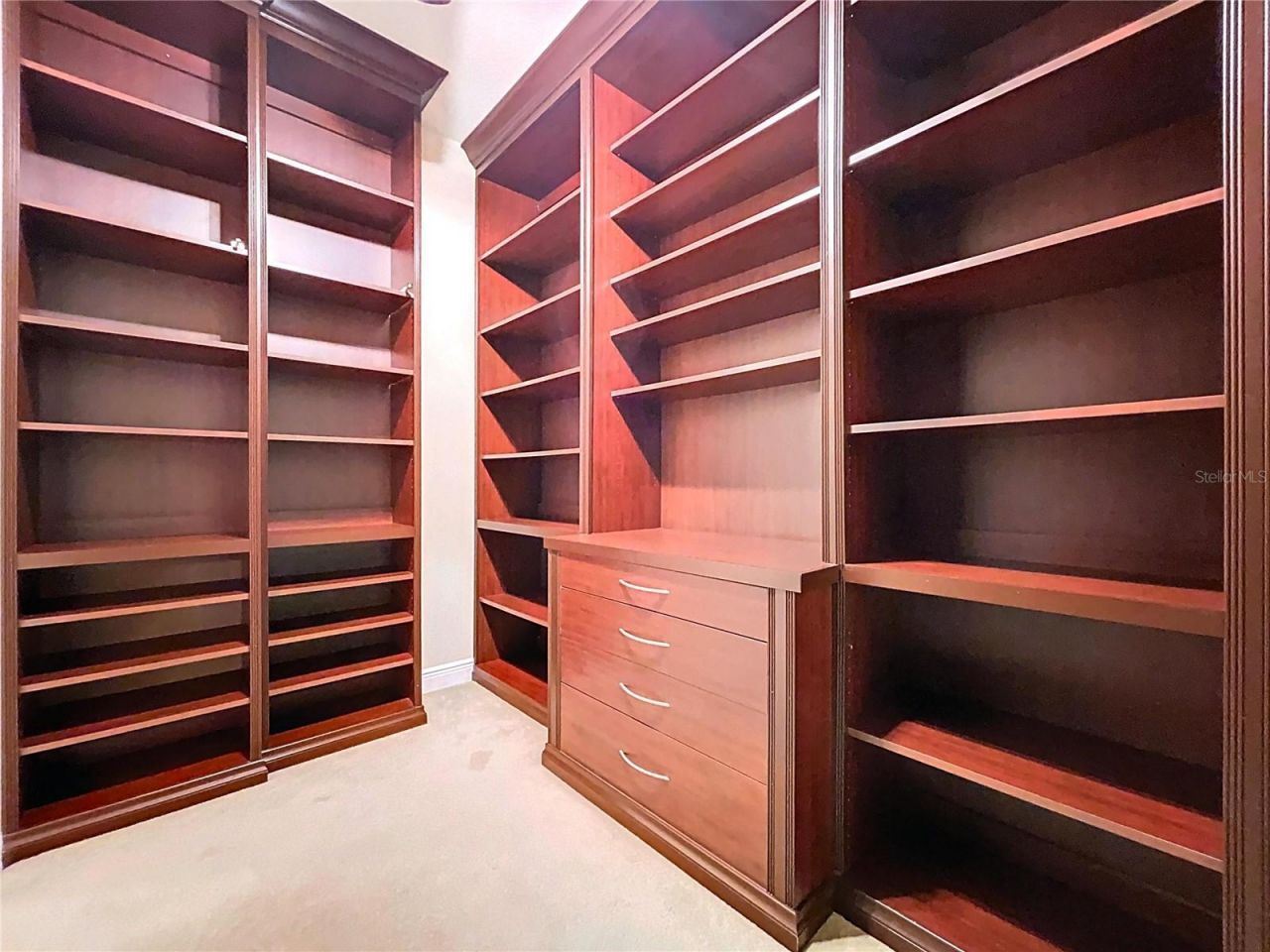 27511 Hialeah Way, Wesley Chapel, FL 33544 Photo