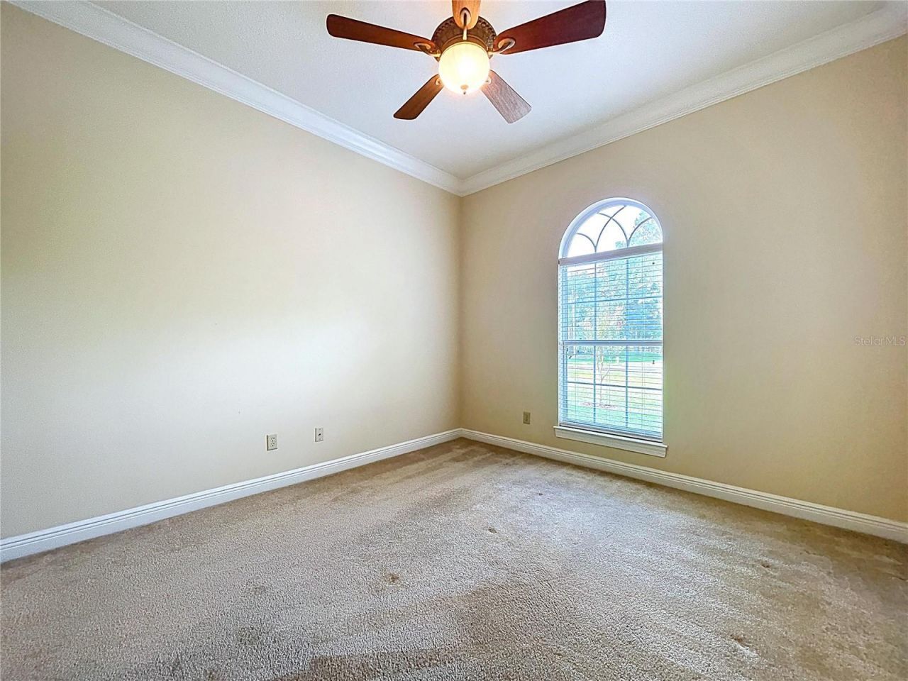 27511 Hialeah Way, Wesley Chapel, FL 33544 Photo