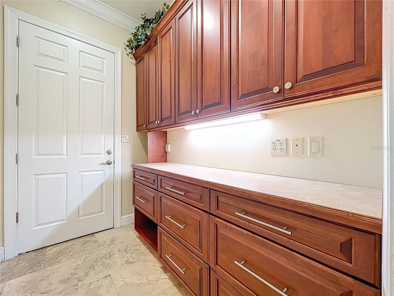 27511 Hialeah Way, Wesley Chapel, FL 33544 Photo