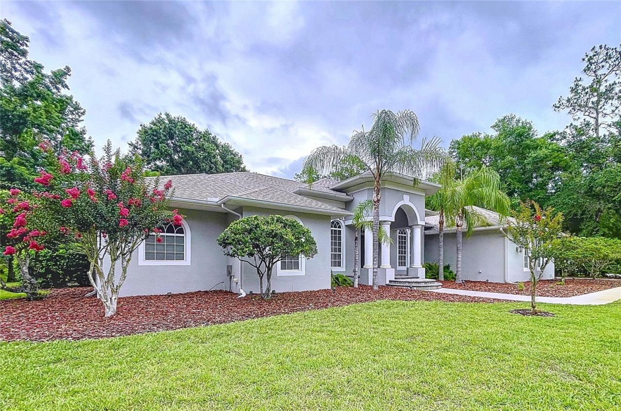 27511 Hialeah Way, Wesley Chapel, FL 33544 Photo