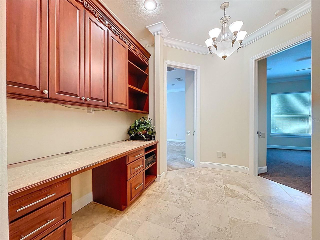 27511 Hialeah Way, Wesley Chapel, FL 33544 Photo