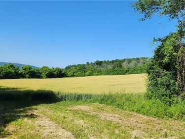 0 Townline Road, Middlesex, NY 14507