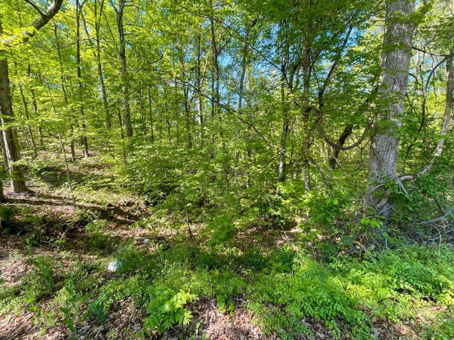 Property Image 20