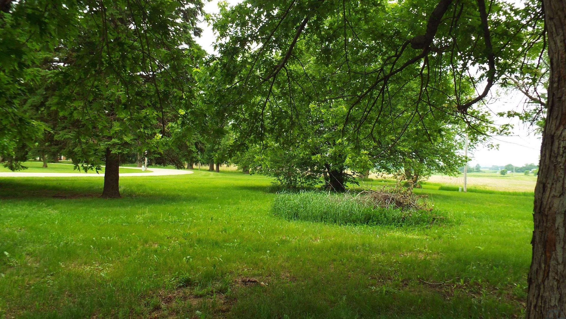 1179 Oak Street, Ocheyedan, IA 51354 Main Photo